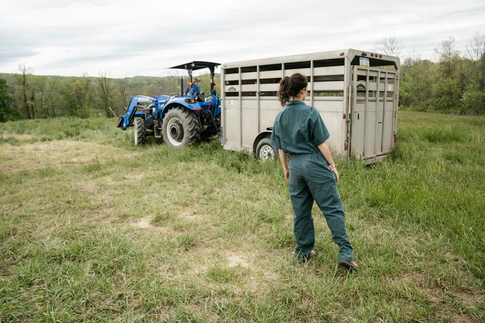 Farm Assistant