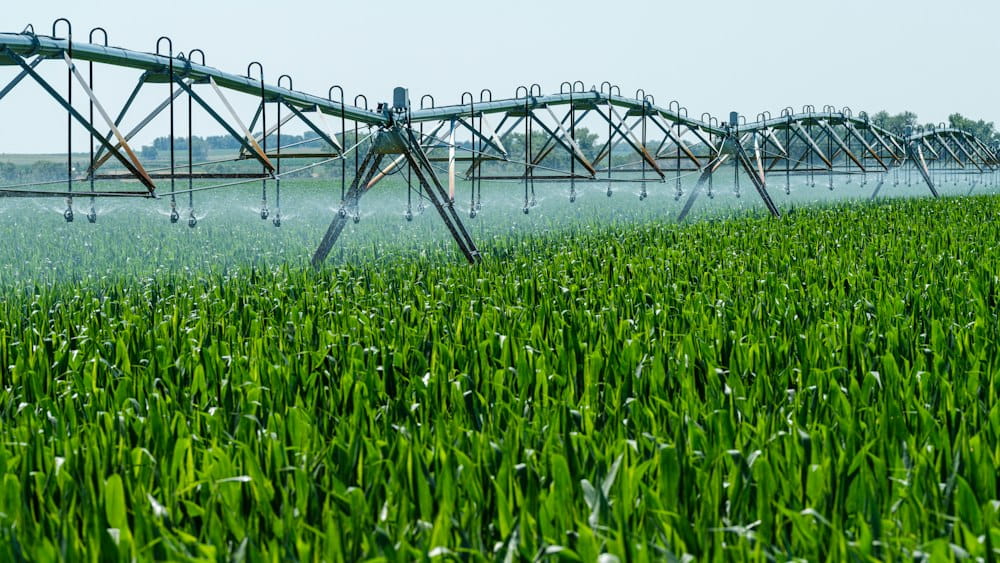Irrigation Worker